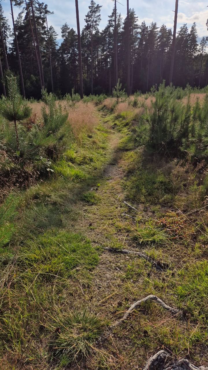Ekerö Bike Park
